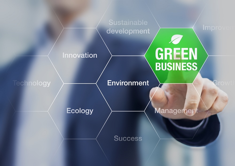 Eco-friendly Cleaning Service