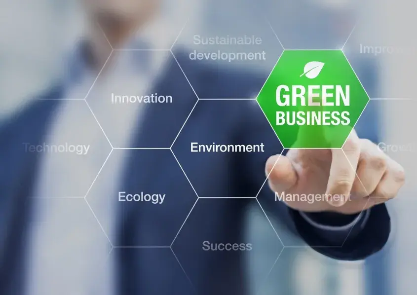 Eco-friendly Cleaning Service
